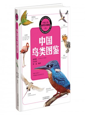 中国之美 自然生态图鉴 中国鸟类图鉴图书