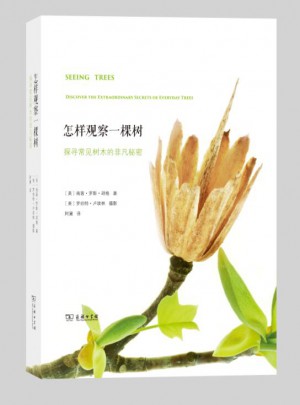 怎样观察一棵树