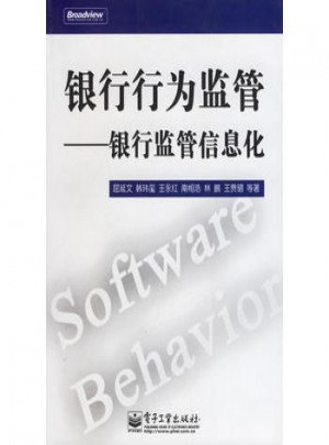 银行行为监管:银行监管信息化