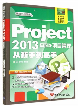 Project 2013中文版项目管理 从新手到高手（配光盘）（从新手到高手）