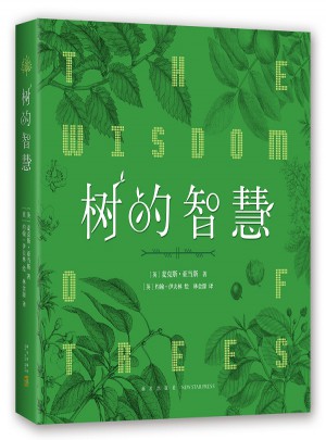 树的智慧