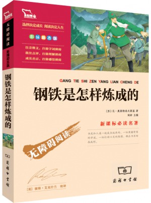 钢铁是怎样炼成的（中小学新课标必读名著 ）57000多名读者热评！