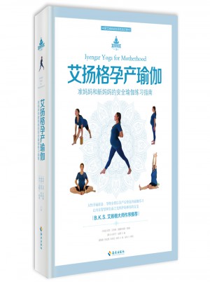 艾扬格孕产瑜伽图书