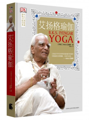 艾扬格瑜伽精准习练指南