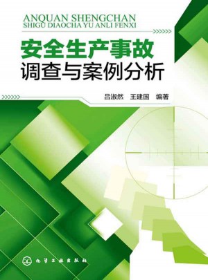安全生产事故调查与案例分析(全行业各类型安全生产案例剖析)