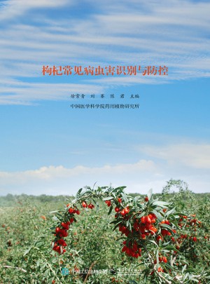 枸杞常见病虫害识别与防控