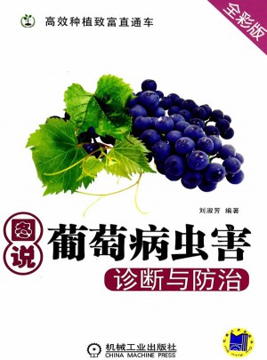 图说葡萄病虫害诊断与防治(高效种植致富直通车)