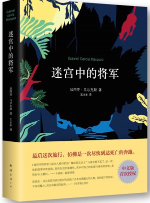 迷宫中的将军
