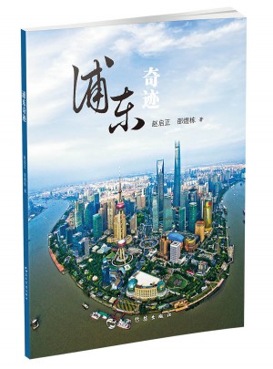 浦东奇迹（新版）