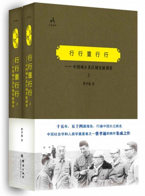 行行重行行——中国城乡及区域发展调查（上、下）图书