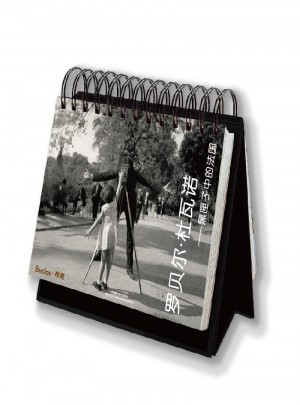 罗贝尔杜瓦诺 黑匣子中的法国