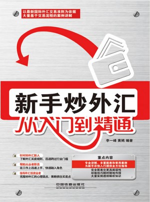 新手炒外汇从入门到精通