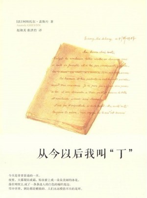 从今以后我叫丁图书