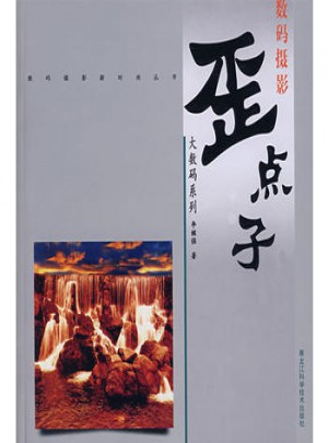 大数码系列·歪点子