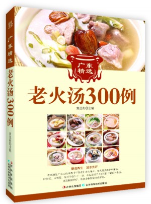 广东经典老火汤300例图书