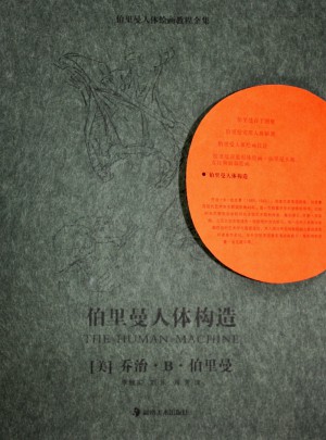 伯里曼人体构造