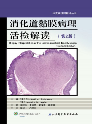 消化道黏膜病理活检解读（第2版）图书