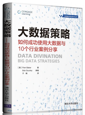 大数据策略·如何成功使用大数据与10个行业案例分享
