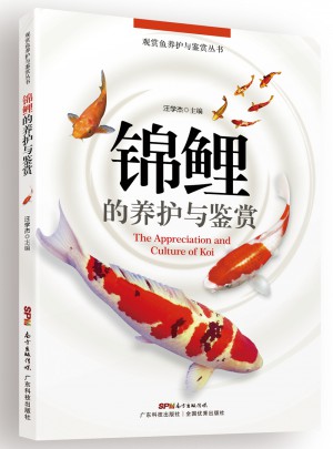 锦鲤的养护与鉴赏