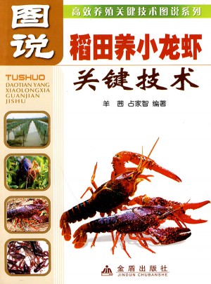 图说稻田养小龙虾关键技术
