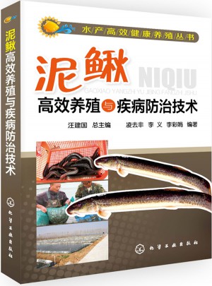 水产高效健康养殖丛书·泥鳅高效养殖与疾病防治技术