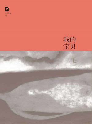 三毛全集：我的宝贝