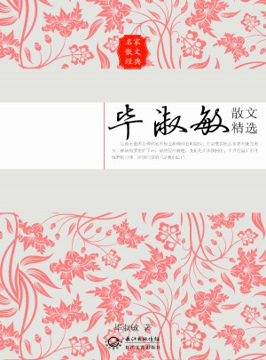 毕淑敏散文精选