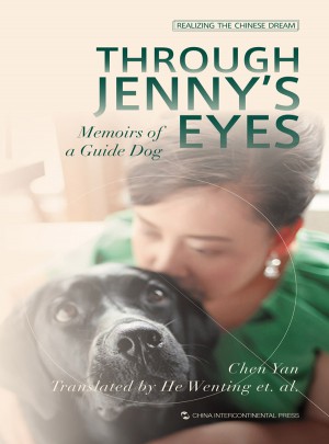 追梦中国：妈妈，我是你的眼（英）