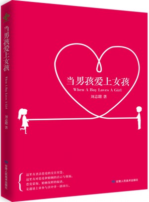 当男孩爱上女孩图书