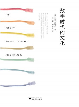 数字时代的文化