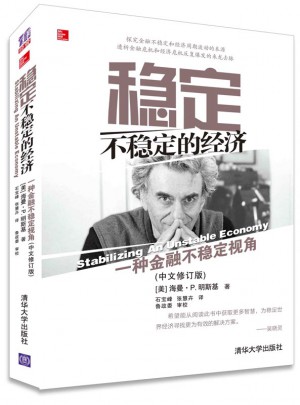 稳定不稳定的经济图书