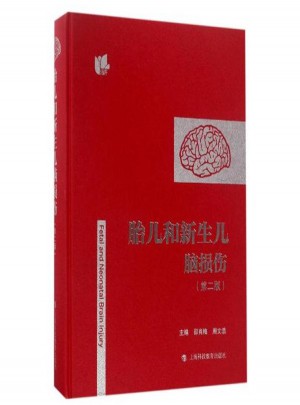 胎儿和新生儿脑损伤（第二版）
