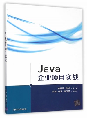 Java企业项目实战图书
