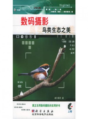 数码摄影：鸟类生态之美