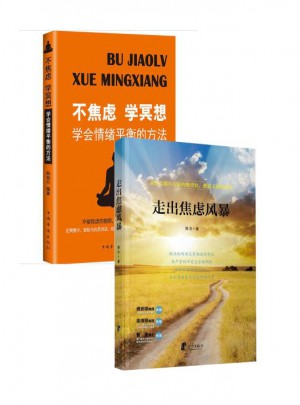 走出焦虑风暴+不焦虑学冥想:学会情绪平衡的方法（2册）