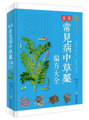 家庭常见病中草药偏方大全