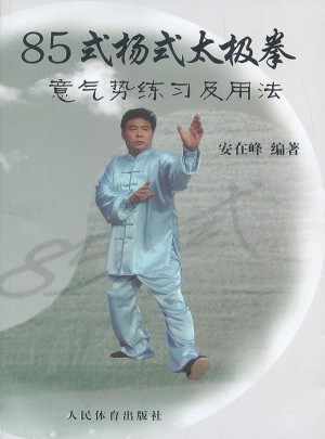 85式杨式太极拳：意气势练习及用法图书