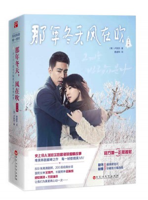 那年冬天，风在吹