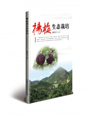 杨梅生态栽培