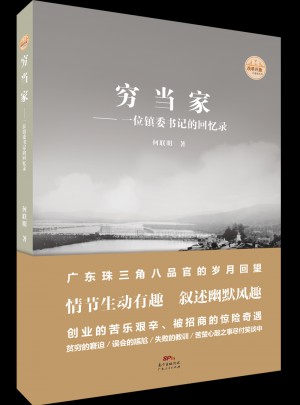 穷当家：一位镇委书记的回忆录