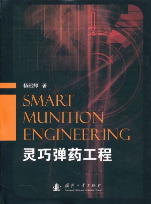 灵巧弹药工程