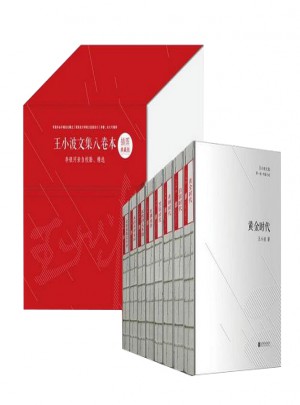 王小波文集八卷本