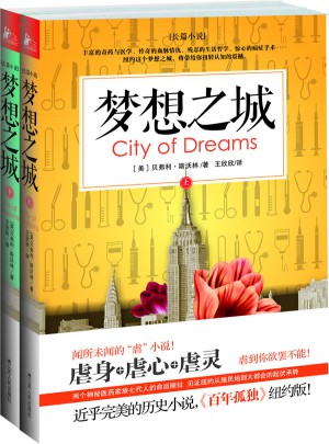 梦想之城（上下册）图书