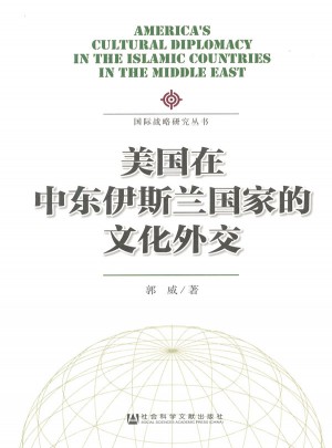 美国在中东伊斯兰国家的文化外交