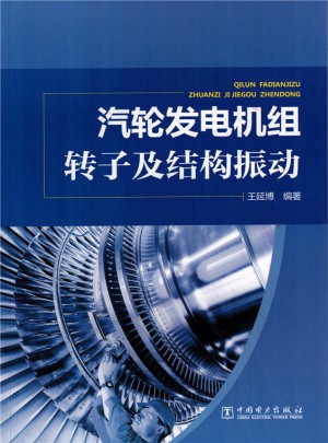 汽轮发电机组转子及结构振动