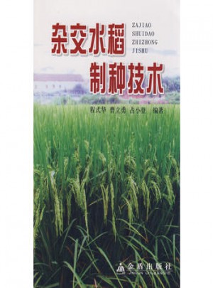 杂交水稻制种技术
