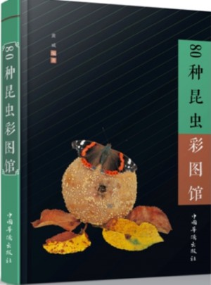 80种昆虫彩图馆