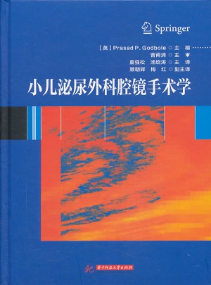 小儿泌尿外科腔镜手术学