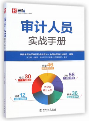 审计人员实战手册