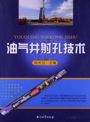 油气井射孔技术图书